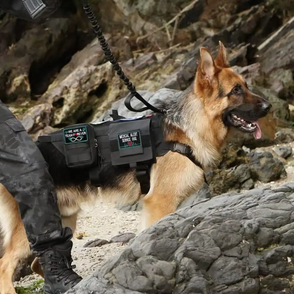 K9 Training Embroidered Velcro Dog ID Patch